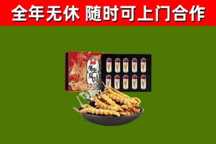 祁连回收冬虫夏草价格